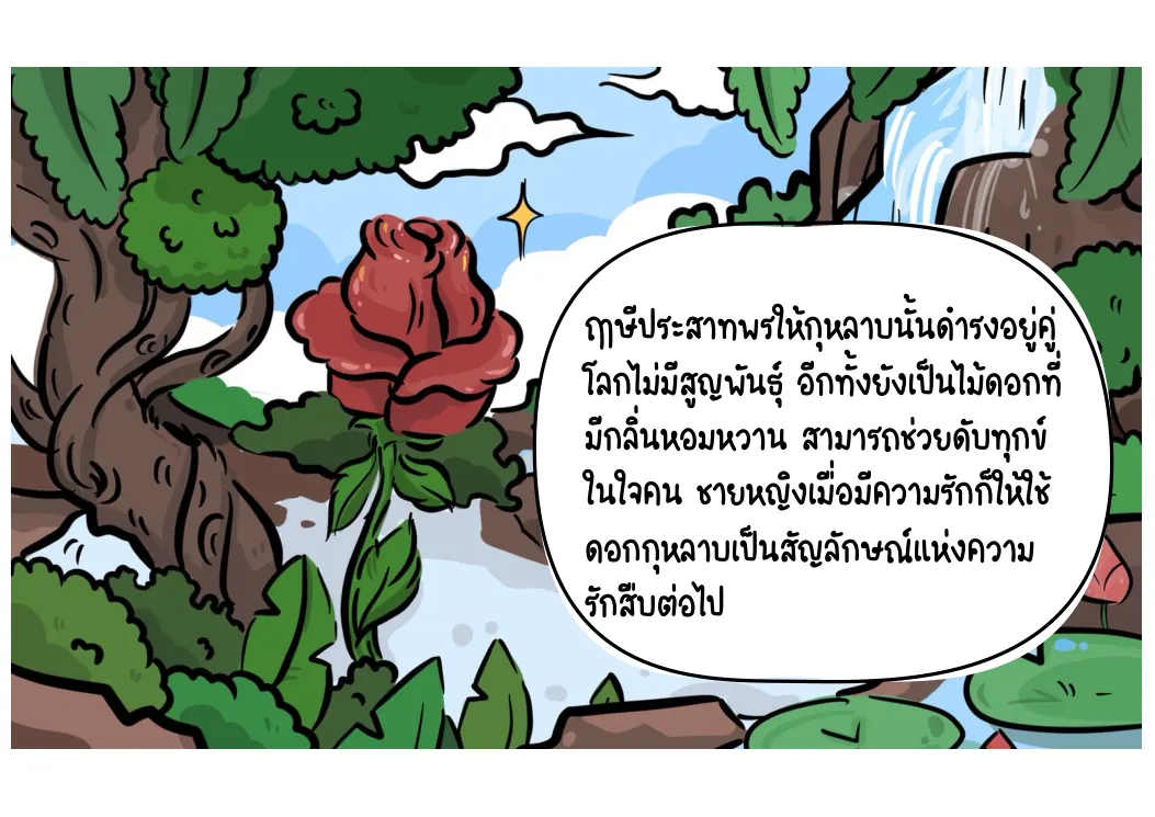 กุหลาบเป็นสัญลักษณ์แห่งความรัก